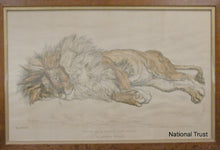 Load image into Gallery viewer, Ernest Griset 19th.Century Watercolour Study Of A Sleeping Nubian Lion Circa.1880
