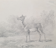 Load image into Gallery viewer, Sawrey Gilpin R.A. Study Of A Deer 1803
