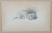 Load image into Gallery viewer, Archibald Thorburn F.Z.S Pencil Study Of A Stoat Circa.1920
